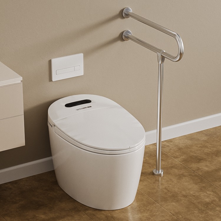 Seniors Stainless Steel Toilet Handrails